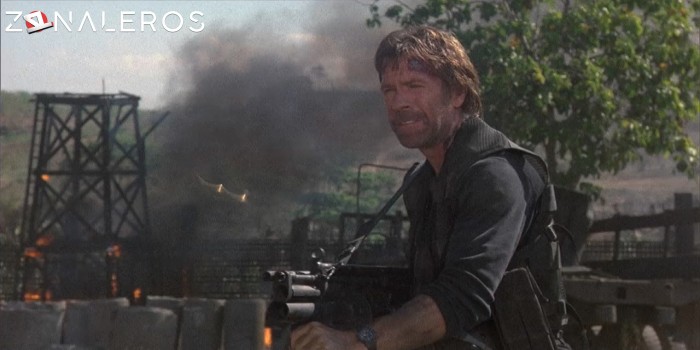 bajar Desaparecido en acción 3