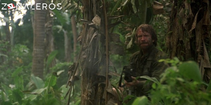 bajar Desaparecido en acción