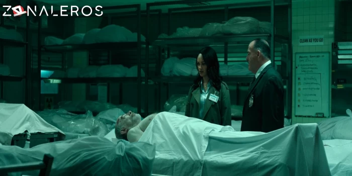 El contador 2 gratis