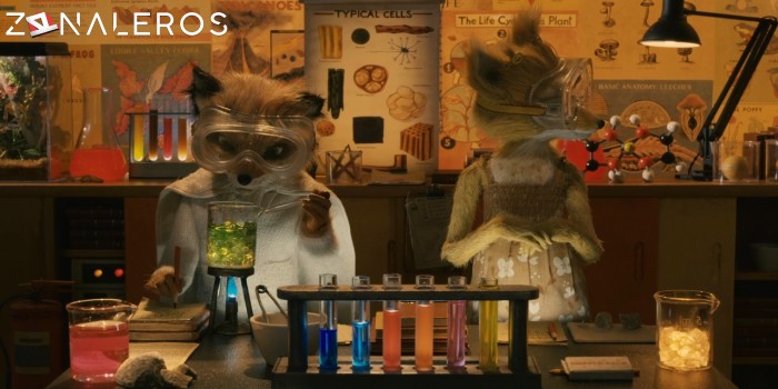 bajar El fantástico Sr. Zorro