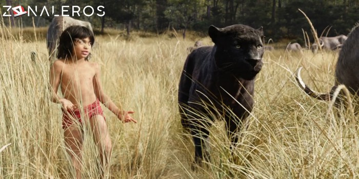 El libro de la selva gratis