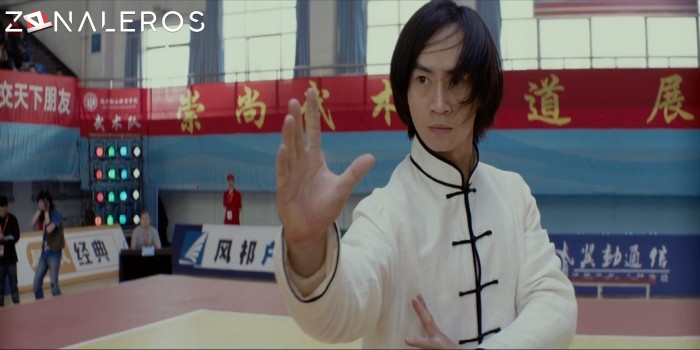 El maestro del Tai Chi gratis