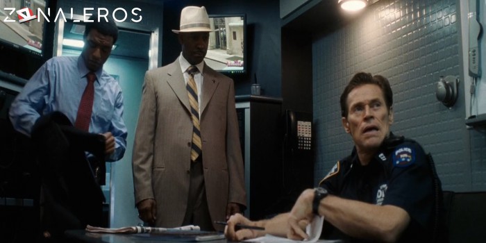 El plan perfecto gratis