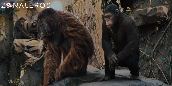 El planeta de los simios: (R)Evolución gratis