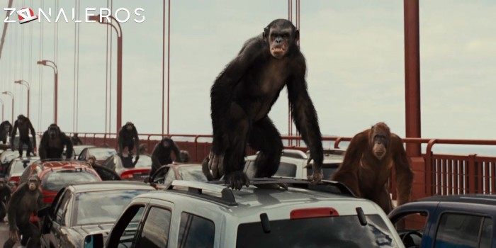 descargar El planeta de los simios: (R)Evolución