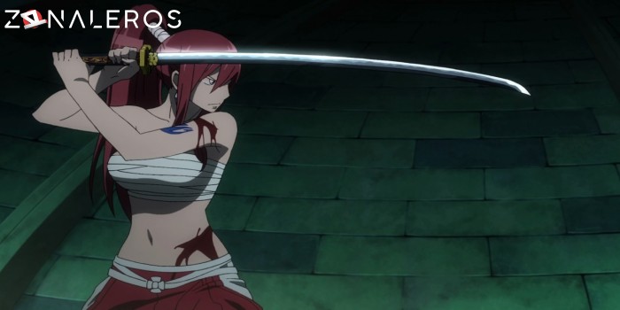 descargar Fairy Tail: La Sacerdotisa del Fénix