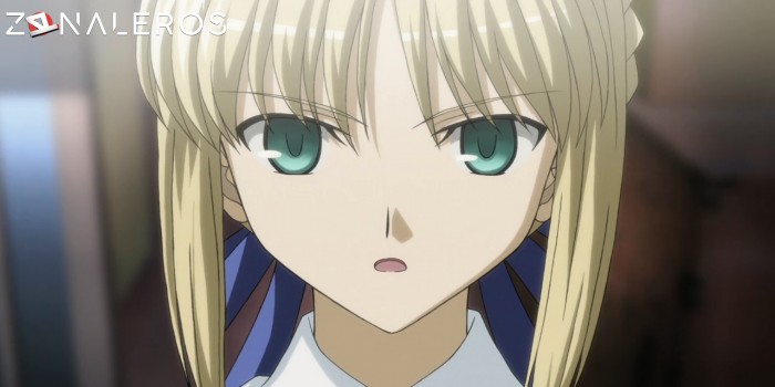 bajar Fate/stay Night: Unlimited Blade Works