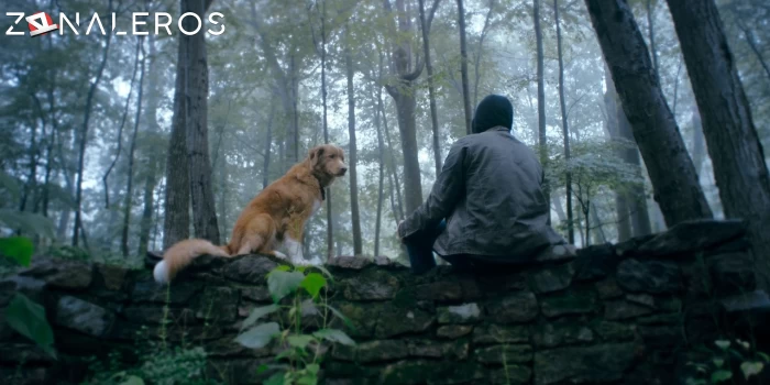 descargar Good Boy: Confía en su instinto