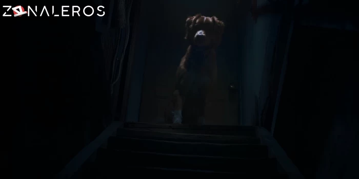 Good Boy: Confía en su instinto gratis