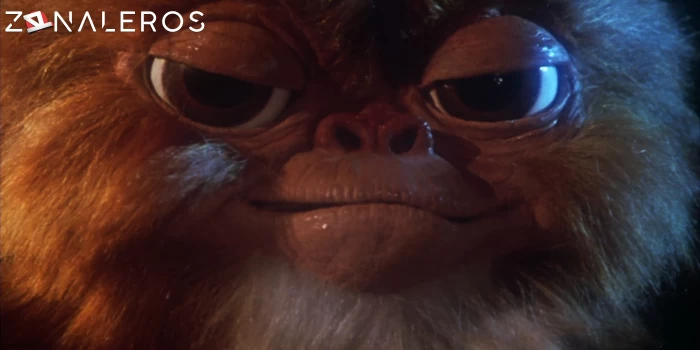 Gremlins gratis