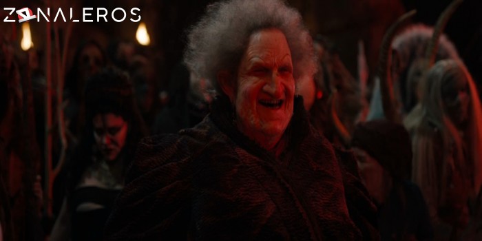 descargar Hansel y Gretel: Cazadores de brujas