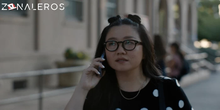 descargar Imperfectos