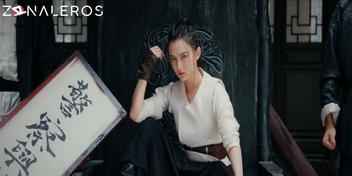 IP Man: El maestro del kung fu gratis