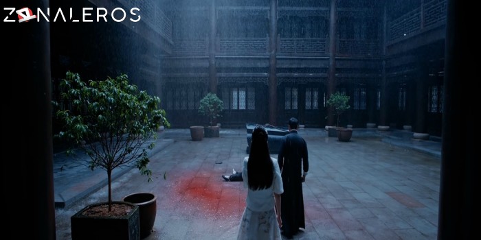 bajar IP Man: El maestro del kung fu