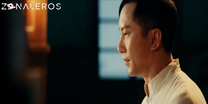 descargar IP Man: El maestro del kung fu