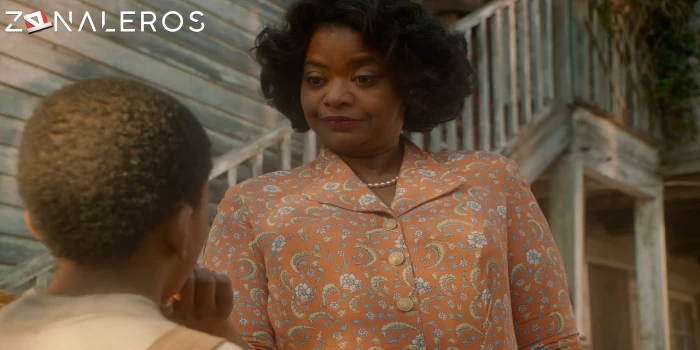 James Brown: El rey del soul gratis