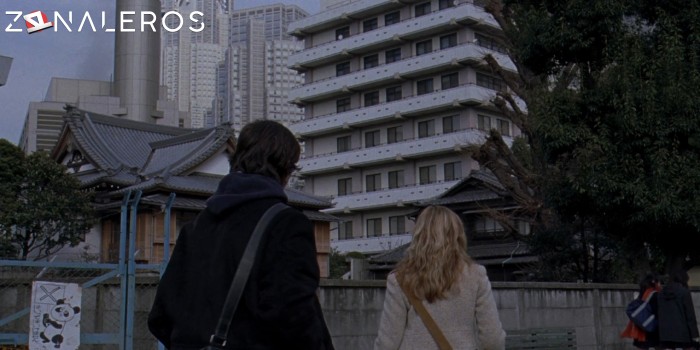 La maldición gratis