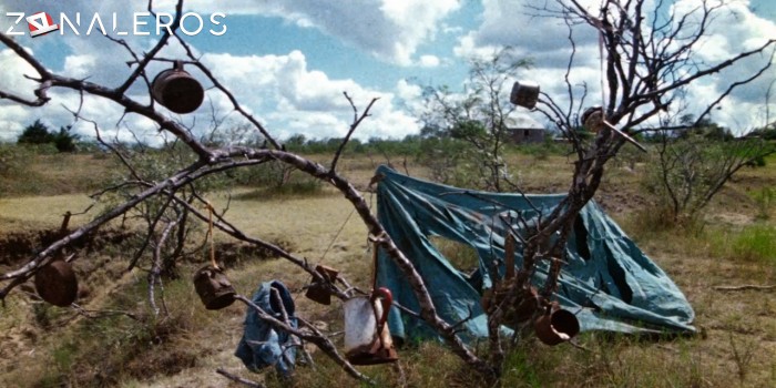 bajar La masacre de Texas