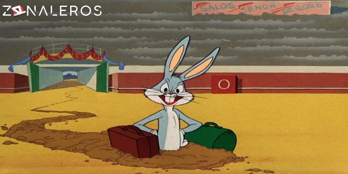 descargar La película de Bugs Bunny y el Correcaminos