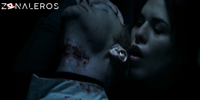 descargar Las musas del diablo