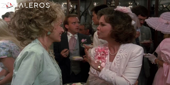 Magnolias de acero gratis