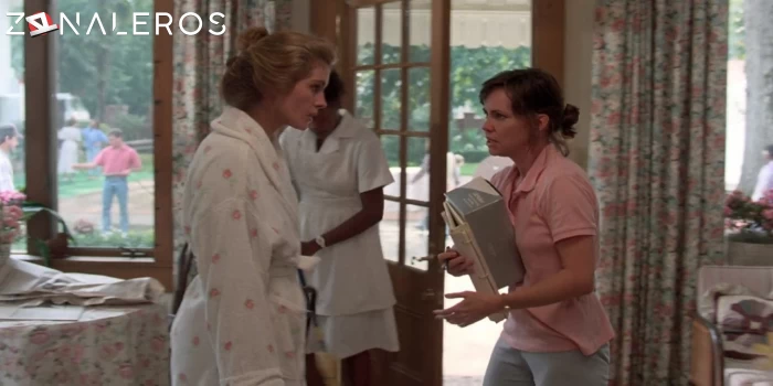 bajar Magnolias de acero