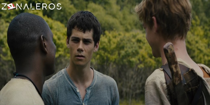 bajar Maze Runner: Correr o Morir