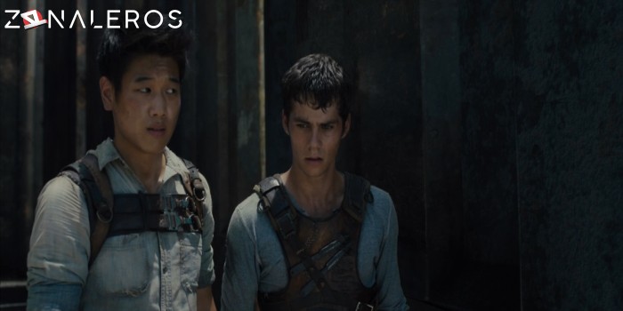 descargar Maze Runner: Correr o Morir