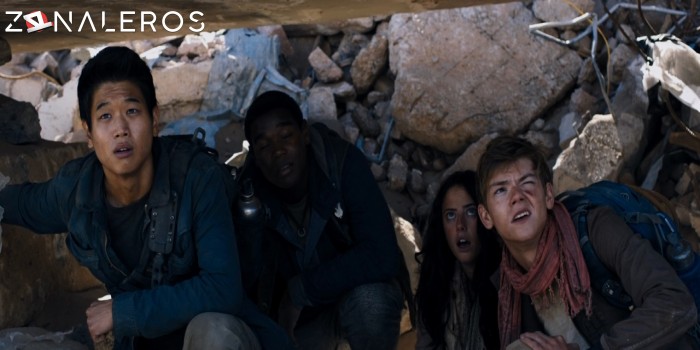 Maze Runner: Prueba de fuego gratis