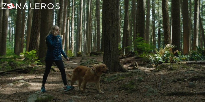 descargar Mi amigo Enzo