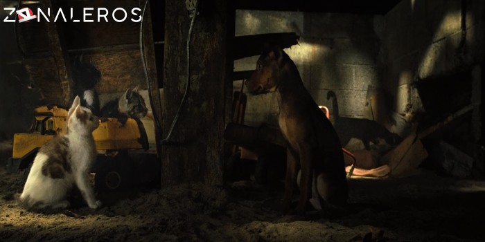 Mis huellas a casa gratis