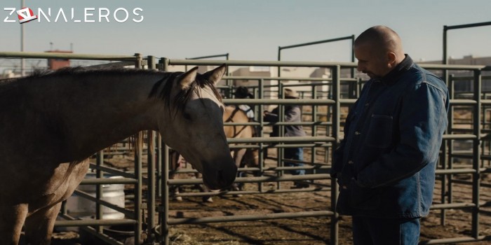 descargar Mustang: La rehabilitación