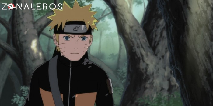 descargar Naruto Shippuden: The Movie 3 - The Will of Fire