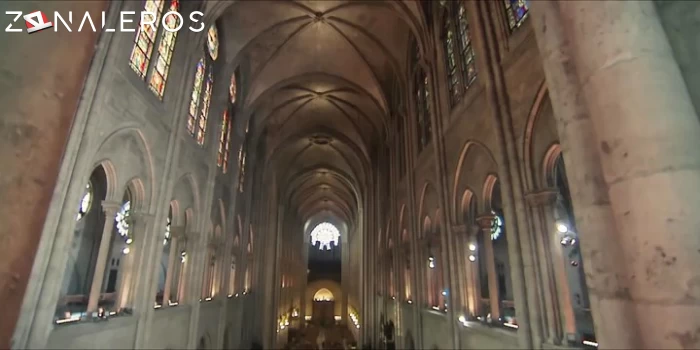 bajar Notre-Dame: Desastre en París