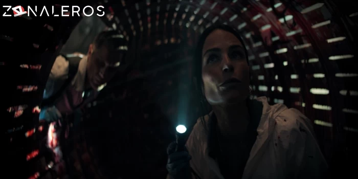 bajar Ojos de corazón