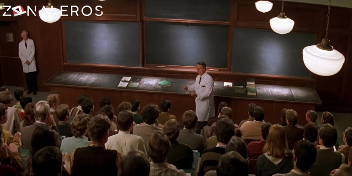 bajar Patch Adams