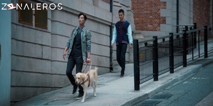 descargar Pequeña Q