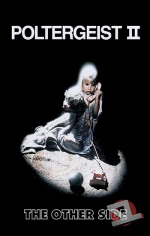 ver Poltergeist II: El otro lado