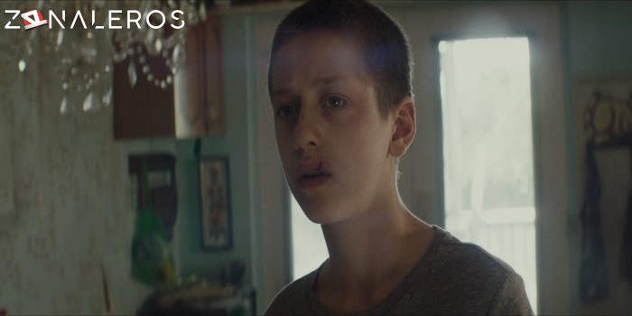 Primera Llegada gratis