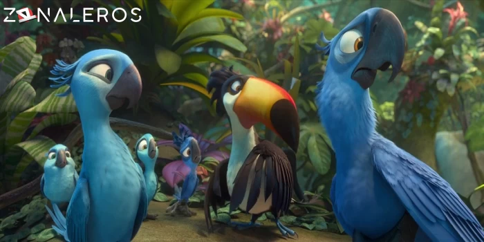 bajar Rio 2