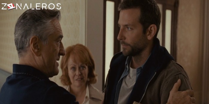 Silver Linings Playbook gratis