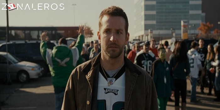 descargar Silver Linings Playbook