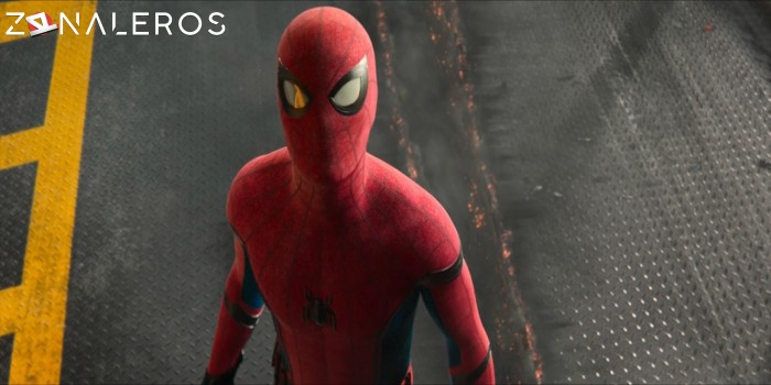 descargar Spider-Man: De regreso a casa