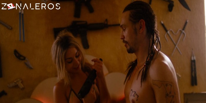 bajar Spring Breakers: Viviendo al límite