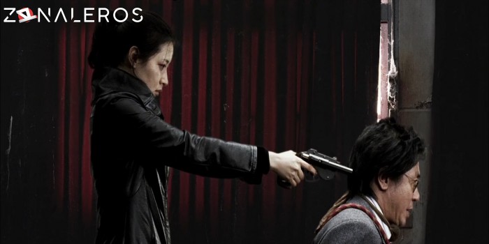 Sympathy for Lady Vengeance gratis