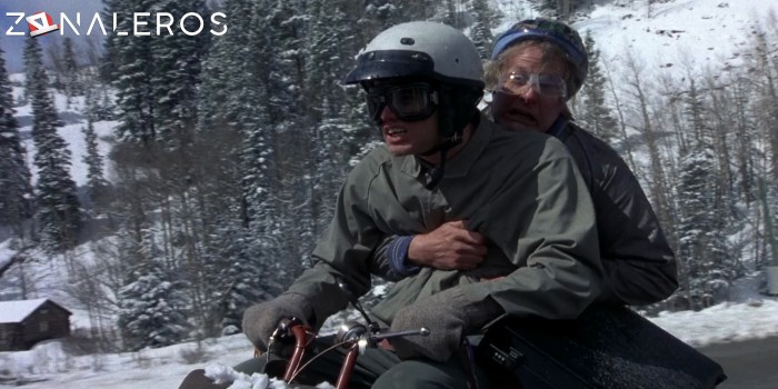 bajar Tonto y retonto