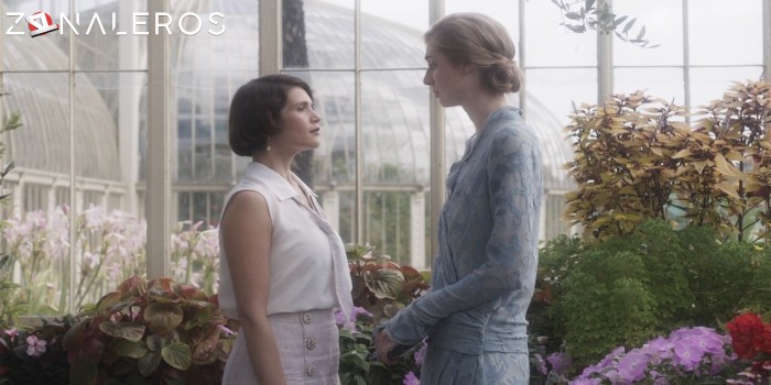 bajar Vita & Virginia