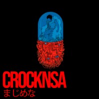 CrockNSA